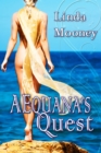 Image for AEquana&#39;s Quest