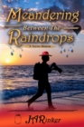 Image for Meandering Between The Raindrops