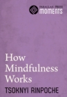 Image for How Mindfulness Works