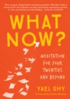 Image for What now?: meditation for your twenties and beyond