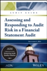 Image for Audit guide  : assessing &amp; responding to audit risk in a financial statement audit