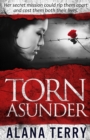 Image for Torn Asunder