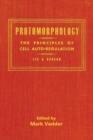 Image for Protomorphology