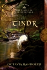 Image for Tindr : Book Five of The Circle of Ceridwen Saga