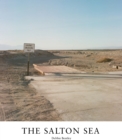 Image for Salton Sea : Of Dust and Water