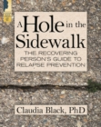 Image for Hole in the Sidewalk: The Recovering Person&#39;s Guide to Relapse Prevention