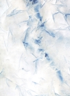 Image for Meghann Riepenhoff: Ice