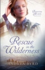 Image for Rescue in the Wilderness