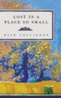 Image for Lost in a Place So Small