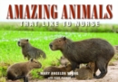 Image for Amazing Animals : That Like to Nurse