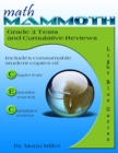 Image for Math Mammoth Grade 3 Tests and Cumulative Reviews
