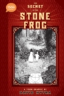 Image for The Secret of the Stone Frog : A TOON Graphic