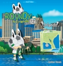 Image for Roundy and Friends - Orlando : Soccertowns Book 12