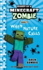 Image for Diary of a Minecraft Zombie : Book 3
