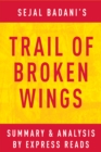 Image for Trail of Broken Wings by Sejal Badani Summary &amp; Analysis.