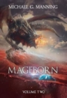 Image for Mageborn : Volume 2