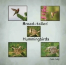 Image for Broad-tailed Hummingbirds