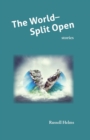 Image for The World Split Open