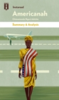 Image for Americanah: by Chimamanda Ngozi Adichie Summary &amp; Analysis