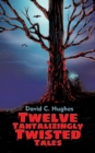 Image for Twelve Tantalizingly Twisted Tales