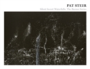 Image for Pat Steir: Silent Secret Waterfalls : The Barnes Series