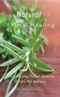 Image for Natural Animal Healing: An Earth Lodge Pocket Guide to Holistic Pet Wellness