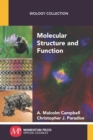 Image for Molecular Structure and Function
