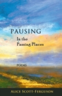 Image for Pausing in the Passing Places : Poems