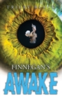 Image for Finnegan&#39;s Awake