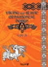 Image for Viking and Slavic Ornamental Designs : Volume 3