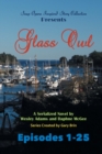 Image for Glass Owl