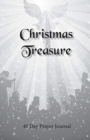 Image for Christmas Treasure