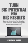 Image for Turn Big Potential Into Big Results : Proven Strategies for Growing Your Business and Standing Out from the Competition