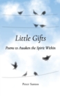 Image for Little Gifts