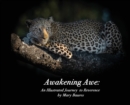 Image for Awakening Awe : An Illustrated Journey to Reverence