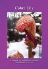 Image for Cobra Lily : A Review of Southwest Oregon Literature &amp; Art