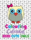 Image for Colouring Calendar 2020 Cute Owls (UK Edition)