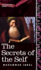 Image for Secrets of the Self