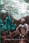 Image for Shadows over Avalon (Volume 1)