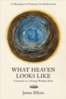 Image for What Heaven Looks Like : Comments on a Strange Wordless Book
