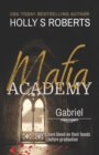 Image for Gabriel : A Dark High School Bully Romance