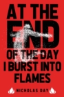 Image for At The End Of The Day I Burst Into Flames