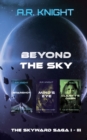 Image for Beyond The Sky