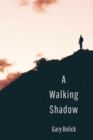 Image for A Walking Shadow