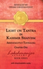 Image for Light on Tantra in Kashmir Shaivism : Chapter One of Abhinavagupta&#39;s Tantraloka