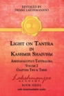 Image for Light on Tantra in Kashmir Shaivism - Volume 2