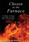 Image for Chosen in the Furnace