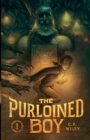 Image for The Purloined Boy