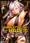 Image for World&#39;s End Harem: Fantasia Vol. 1