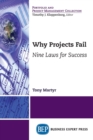 Image for Why Projects Fail